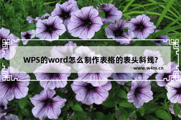 WPS的word怎么制作表格的表头斜线?