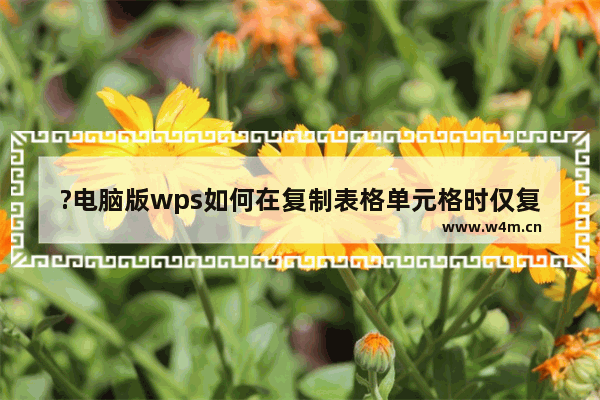 ?电脑版wps如何在复制表格单元格时仅复制可见单元格