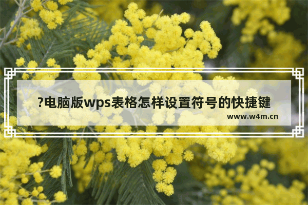 ?电脑版wps表格怎样设置符号的快捷键