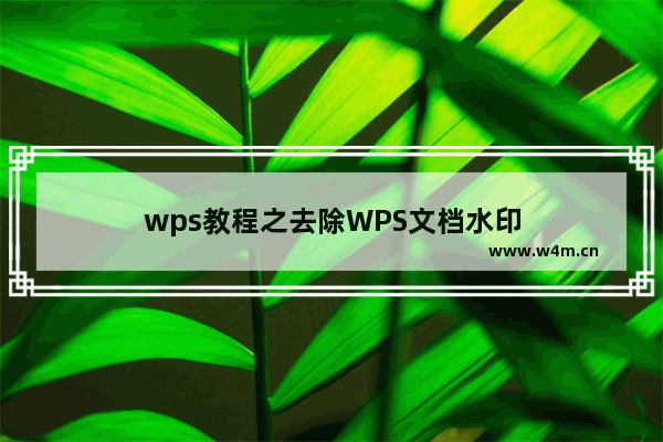 wps教程之去除WPS文档水印