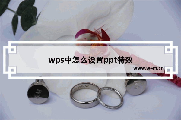 wps中怎么设置ppt特效