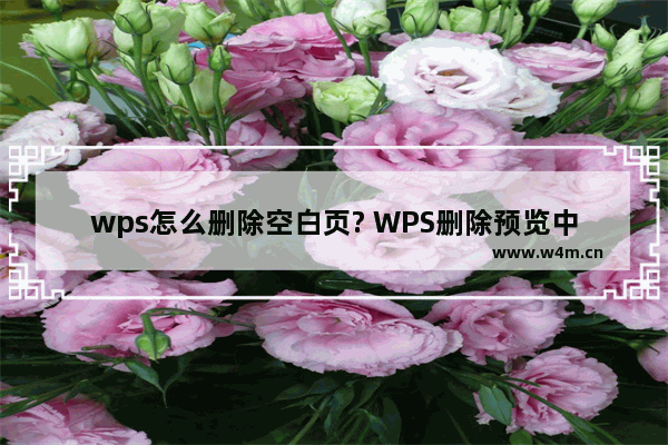 wps怎么删除空白页? WPS删除预览中的空白页的教程