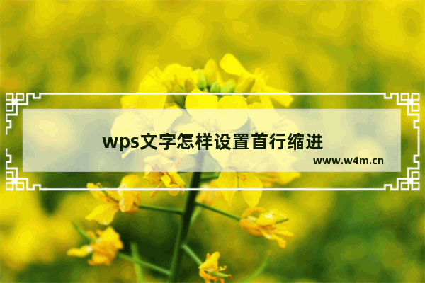 wps文字怎样设置首行缩进