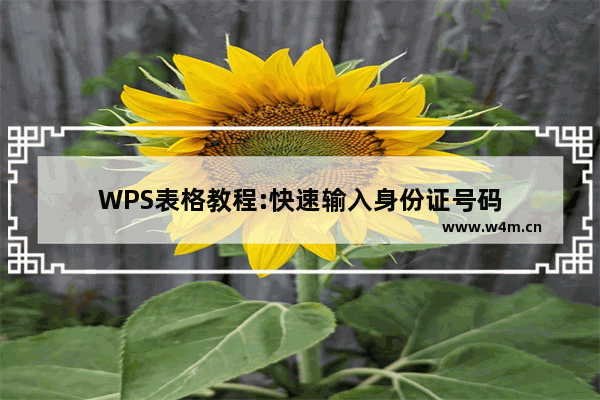 WPS表格教程:快速输入身份证号码