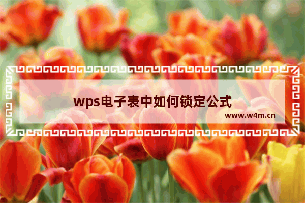 wps电子表中如何锁定公式