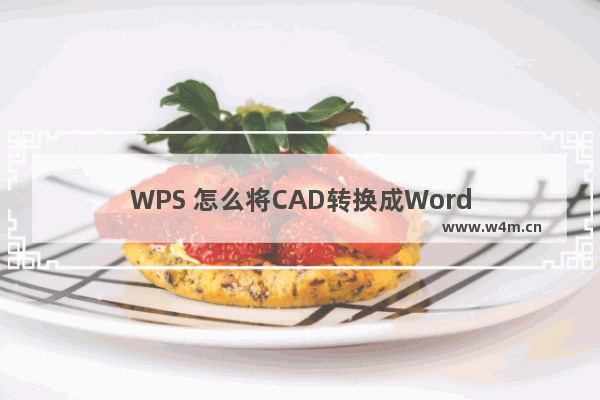 WPS 怎么将CAD转换成Word