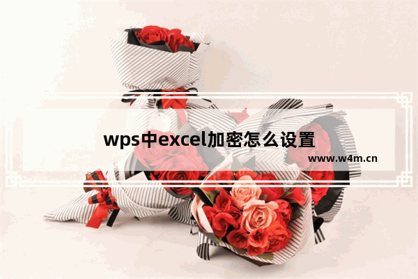 wps中excel加密怎么设置