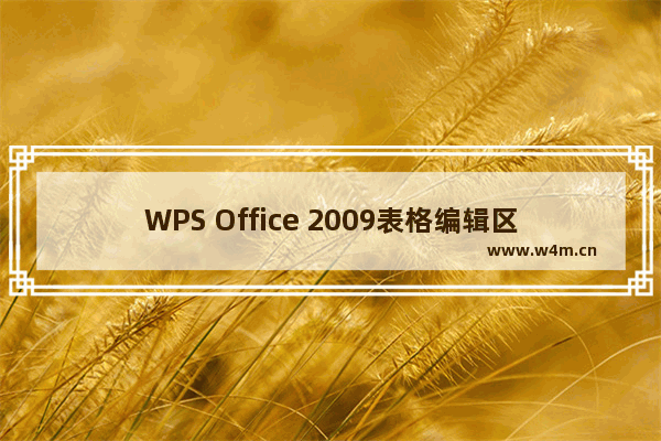 WPS Office 2009表格编辑区域用户权限设置