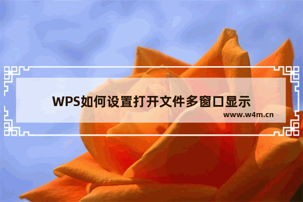 WPS如何设置打开文件多窗口显示