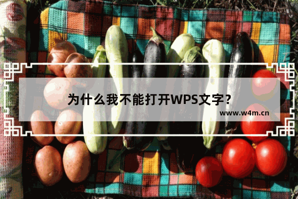 为什么我不能打开WPS文字？