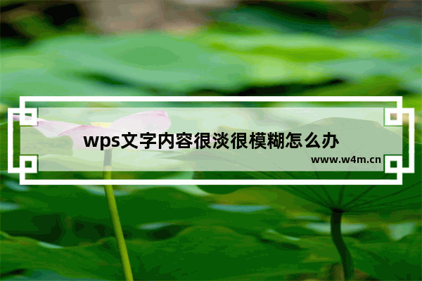 wps文字内容很淡很模糊怎么办