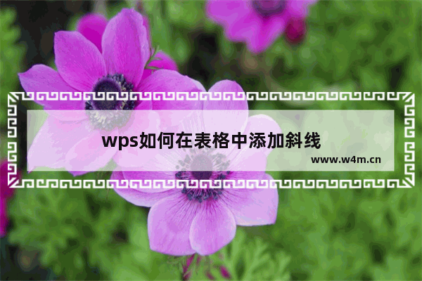 wps如何在表格中添加斜线