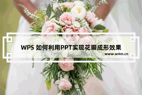 WPS 如何利用PPT实现花瓣成形效果