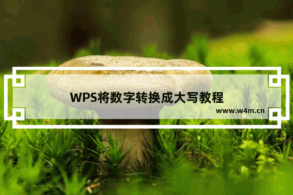 WPS将数字转换成大写教程