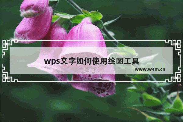 wps文字如何使用绘图工具