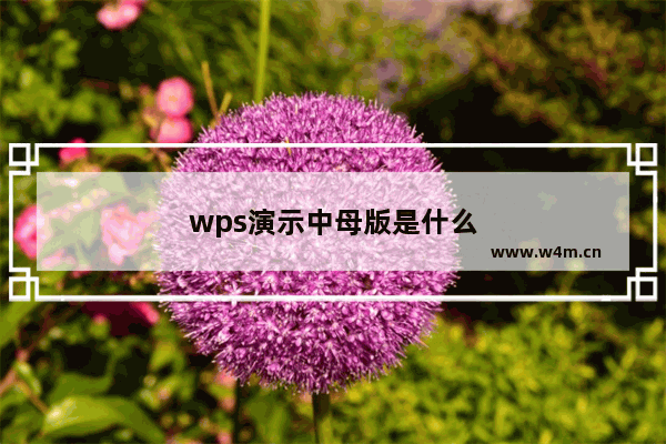 wps演示中母版是什么