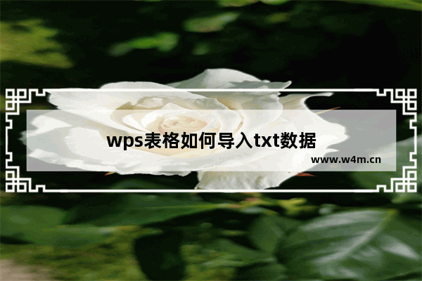 wps表格如何导入txt数据