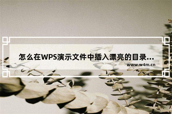 怎么在WPS演示文件中插入漂亮的目录大纲