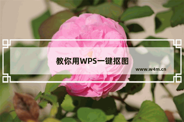 教你用WPS一键抠图