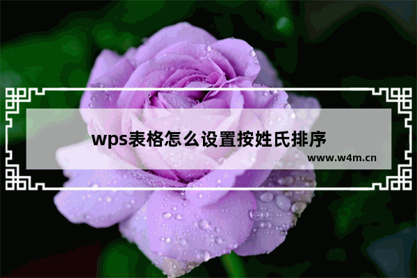 wps表格怎么设置按姓氏排序