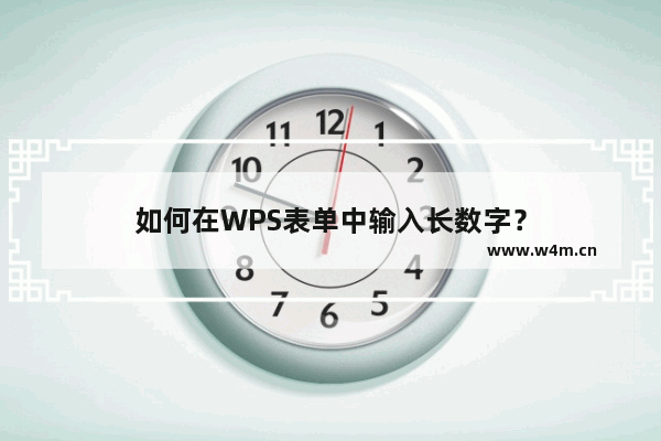 如何在WPS表单中输入长数字？