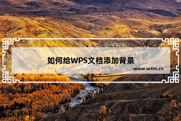 如何给WPS文档添加背景