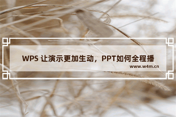 WPS 让演示更加生动，PPT如何全程播放音乐！