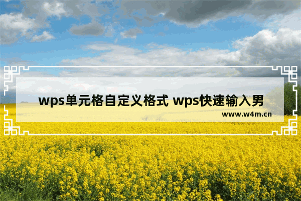 wps单元格自定义格式 wps快速输入男女和简化输入方法