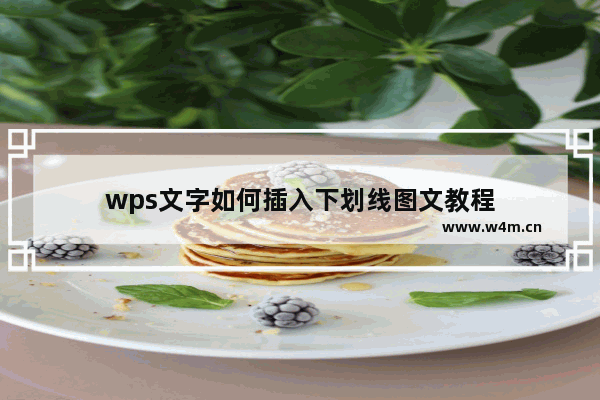 wps文字如何插入下划线图文教程