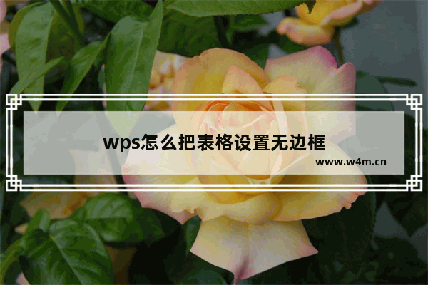 wps怎么把表格设置无边框