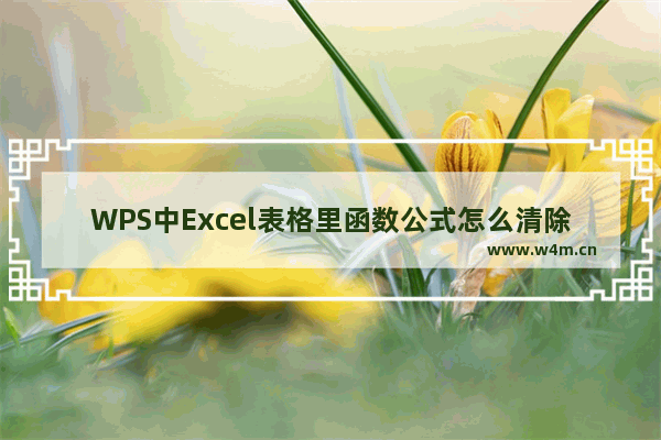 WPS中Excel表格里函数公式怎么清除