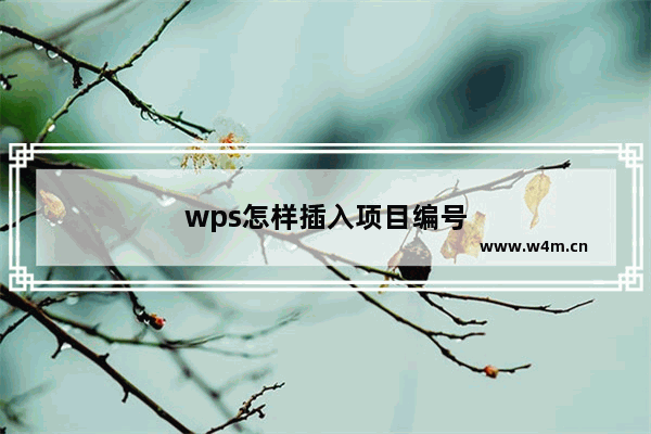 wps怎样插入项目编号