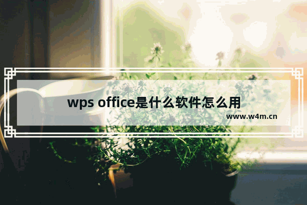 wps office是什么软件怎么用