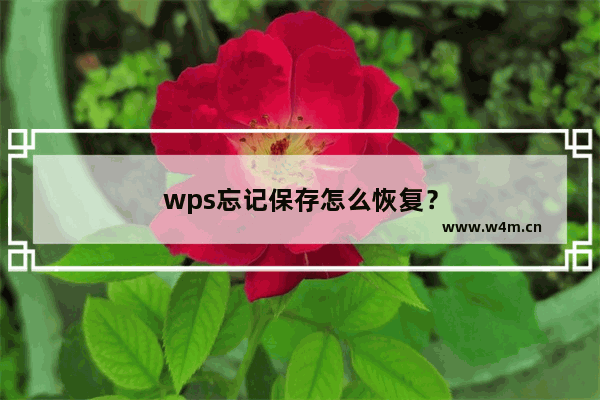 wps忘记保存怎么恢复？