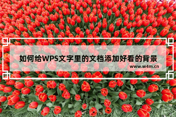 如何给WPS文字里的文档添加好看的背景