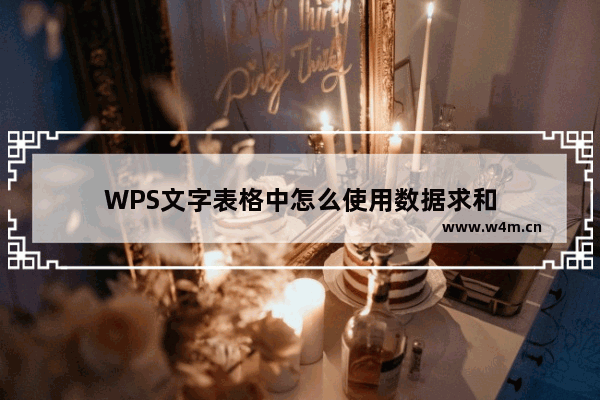 WPS文字表格中怎么使用数据求和