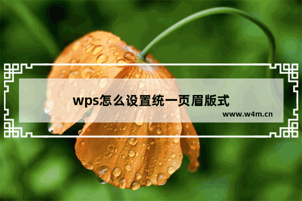 wps怎么设置统一页眉版式