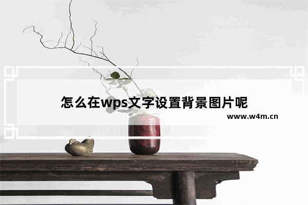 怎么在wps文字设置背景图片呢