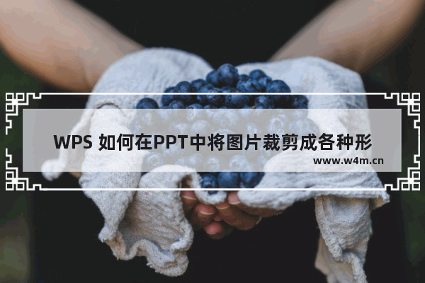 WPS 如何在PPT中将图片裁剪成各种形状