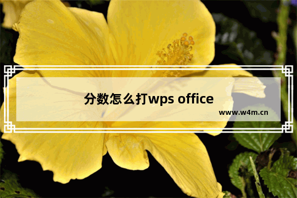 分数怎么打wps office