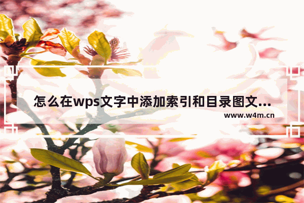 怎么在wps文字中添加索引和目录图文教程