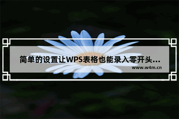 简单的设置让WPS表格也能录入零开头的数据