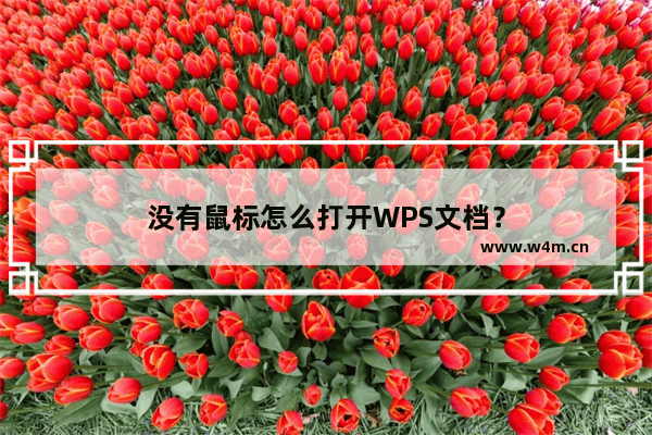 没有鼠标怎么打开WPS文档？