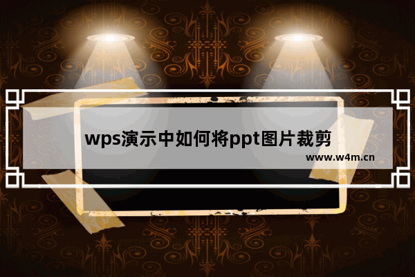 wps演示中如何将ppt图片裁剪