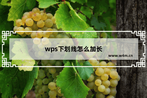 wps下划线怎么加长