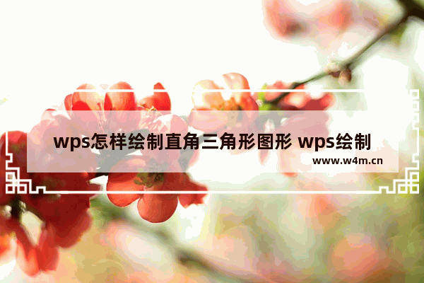 wps怎样绘制直角三角形图形 wps绘制直角三角形图形的详细步骤