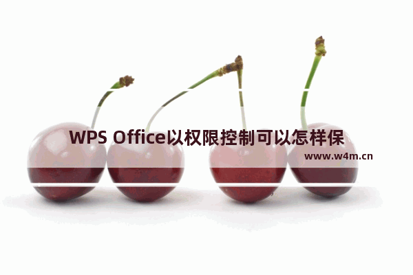 WPS Office以权限控制可以怎样保护文档安全？