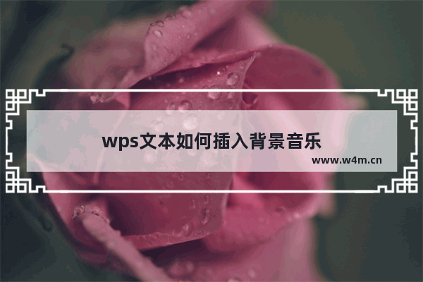 wps文本如何插入背景音乐