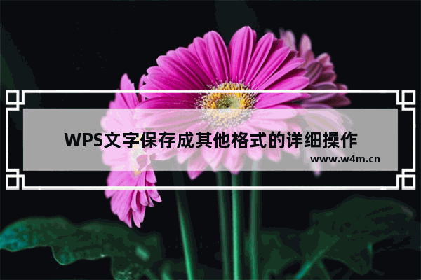 WPS文字保存成其他格式的详细操作