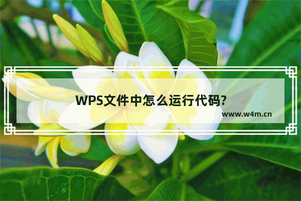 WPS文件中怎么运行代码?